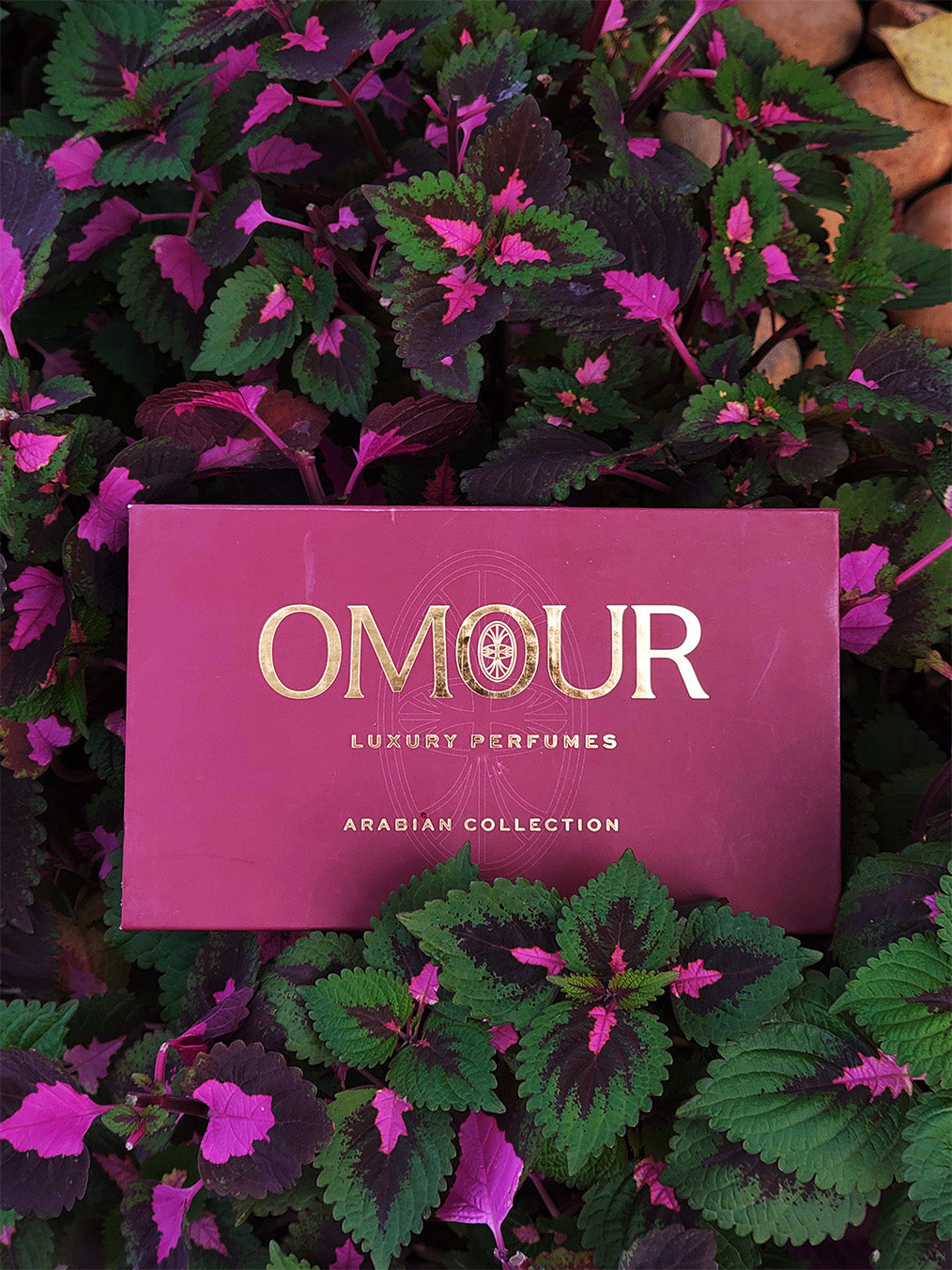 OMOUR Arabian Gift Box